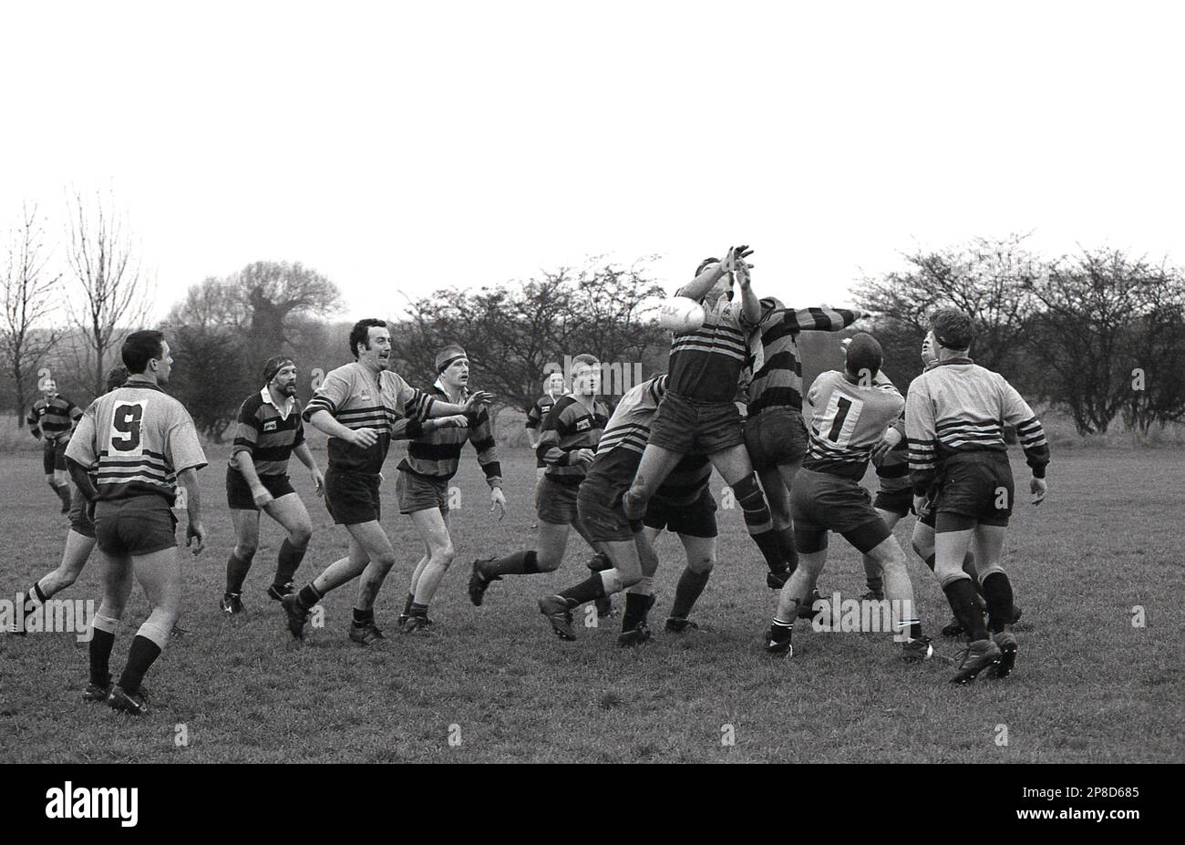 1980s Rugby Union Players Competing In The Line out Ball Knocked 1980s-rugby-union-players-competing-in-the-line-out-ball-knocked