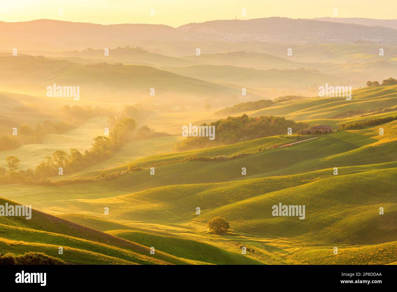 Dawn fog in rural hi-res stock photography and images - Alamy