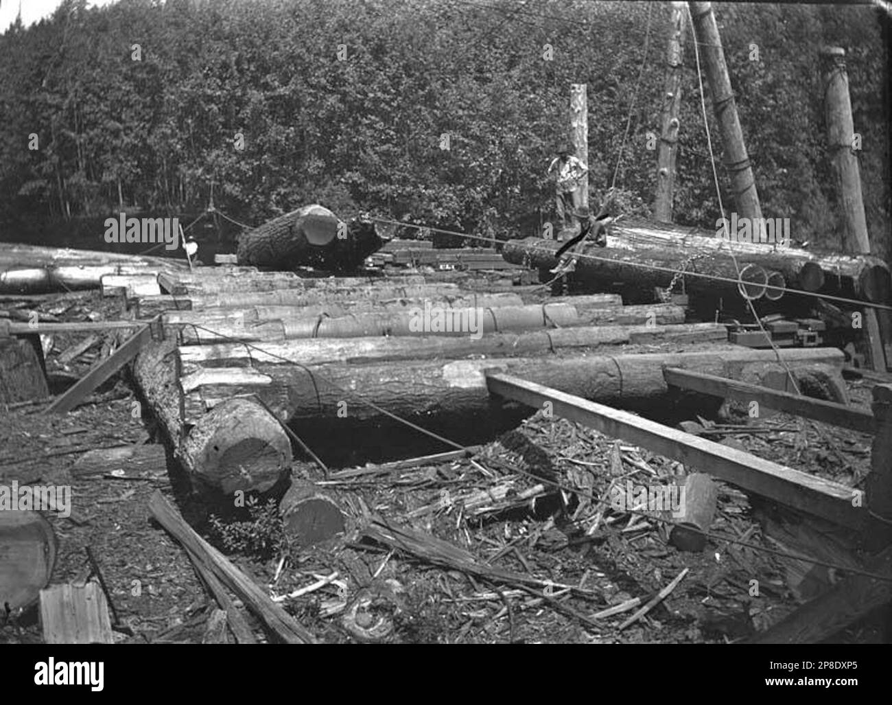 Corduroy road Black and White Stock Photos & Images Alamy