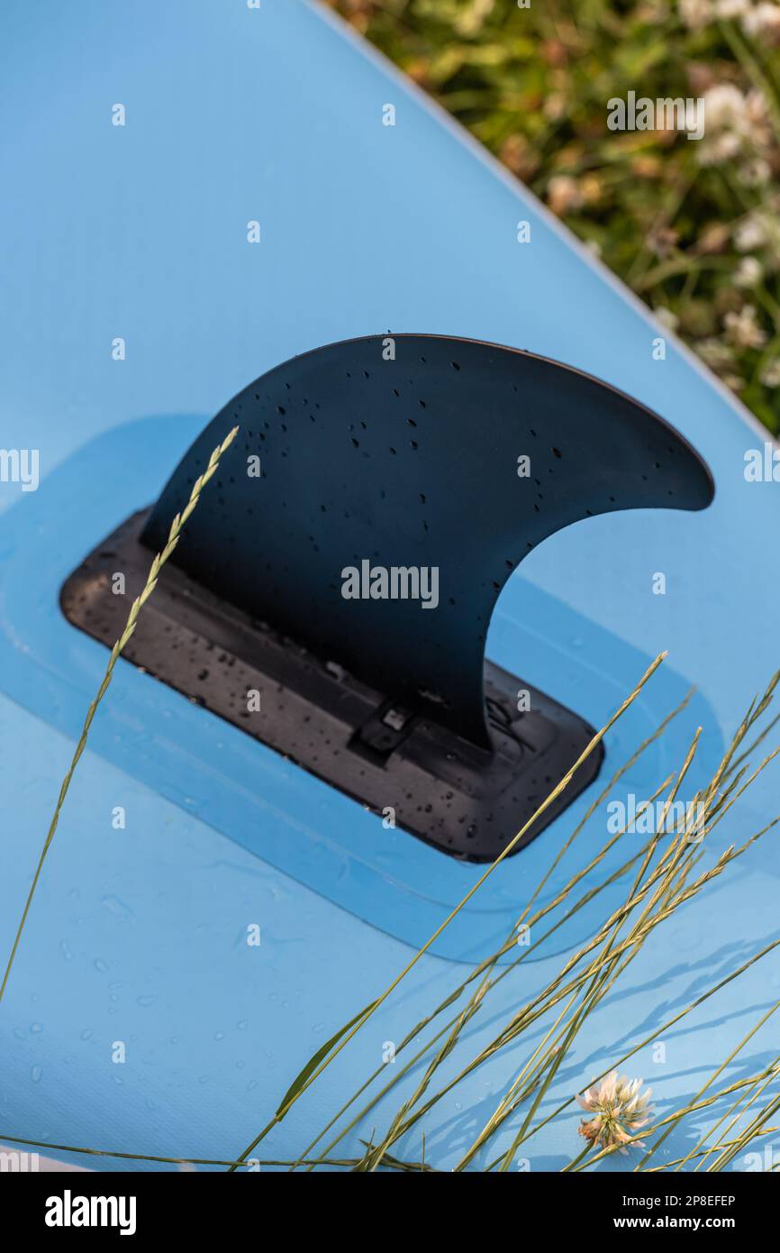 Board fin hi-res stock photography and images - Alamy