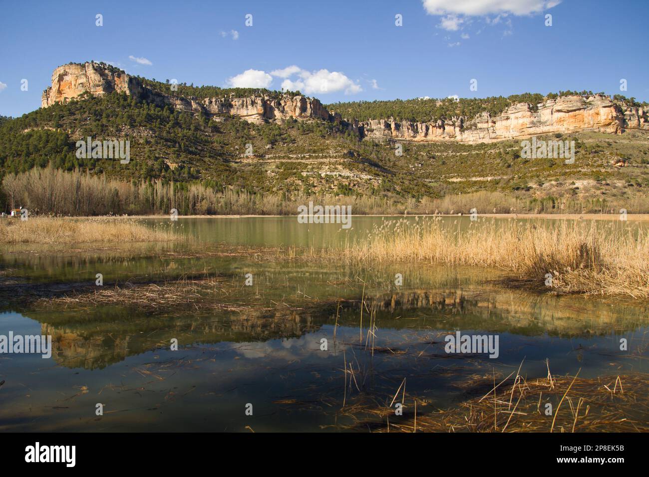 Reflections in a pond, Serrania de Cuenca Natural Park, Cuenca, Castilla-La Mancha, Spain Stock Photo