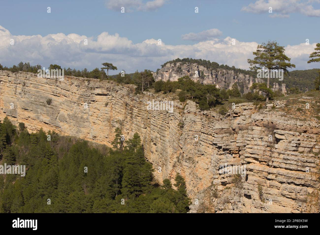 Tree covered cliffs, Serrania de Cuenca Natural Park, Cuenca, Castilla-La Mancha, Spain Stock Photo