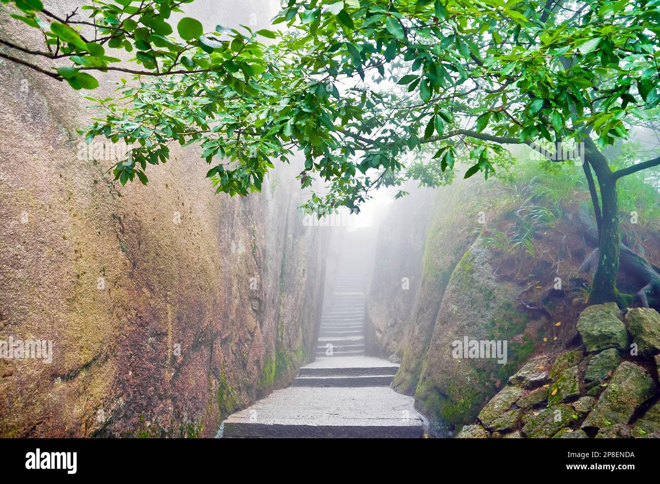 Staircase in mountains, Huangshan (Yellow Mountain), Anhui, China Stock Photo