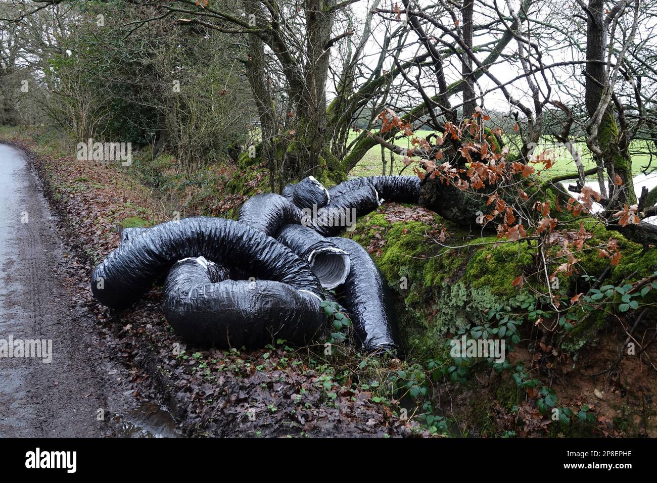 Fly-tipping linked to cannabis growing operation Stock Photo