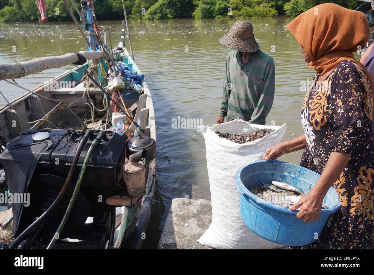 fisherman and women wearing hijab collecting fish from sailing Stock Photo