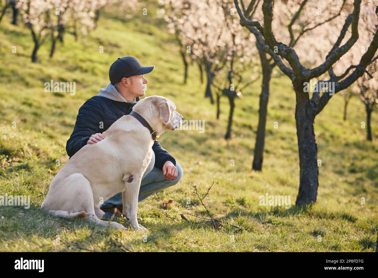 Man with dog sitting in blooming city park during spring day. Side view of pet owner and his loyal labrador retriver. Stock Photo