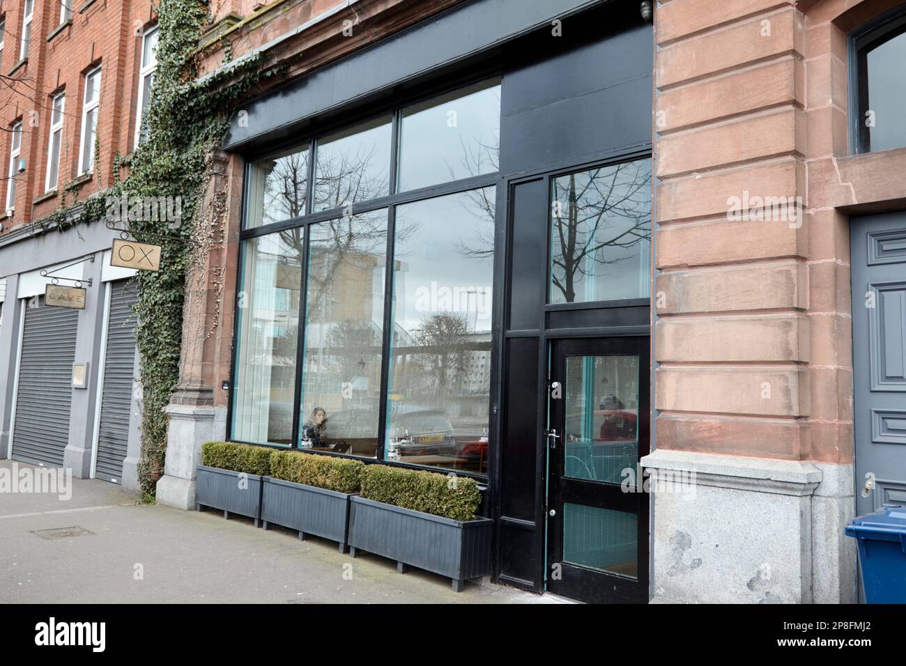 ox restaurant Belfast Northern Ireland UK Stock Photo Alamy