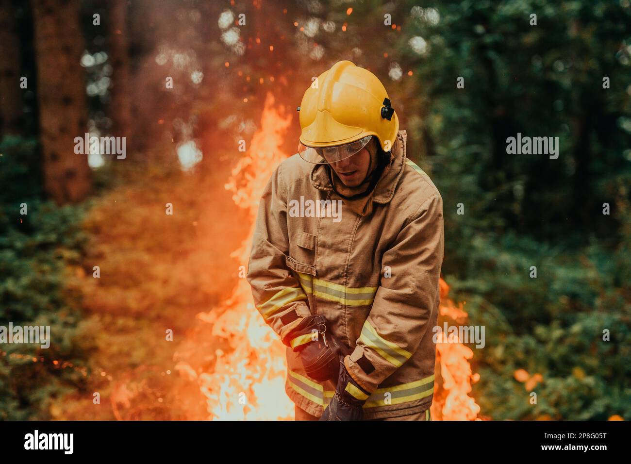 Firefighter at job. Firefighter in dangerous forest areas surrounded by ...