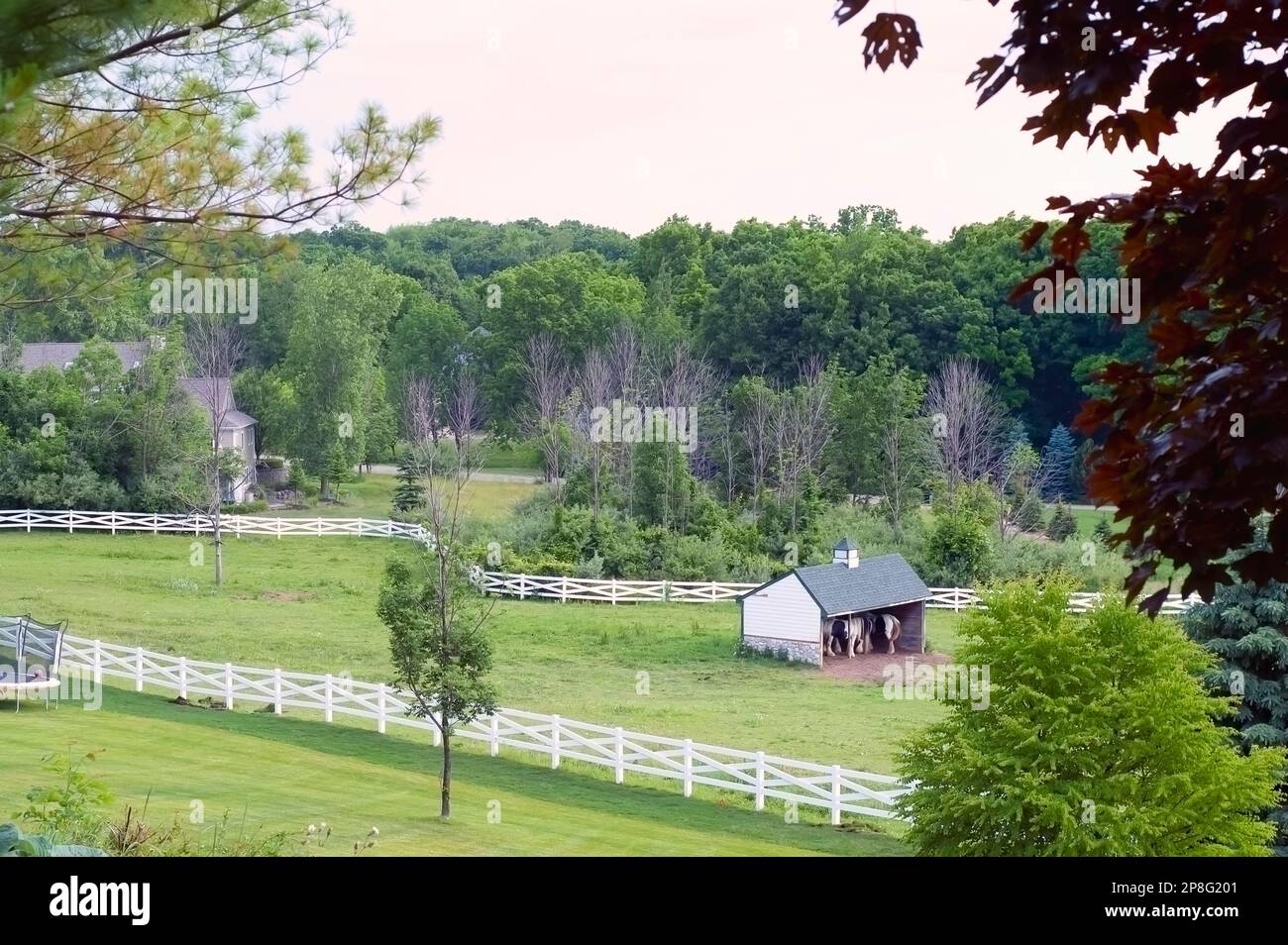 A white crossbuck / cross buck style fence around the perimeter of a horse farm in the US.A small horse shelter is visible in the image. Stock Photo