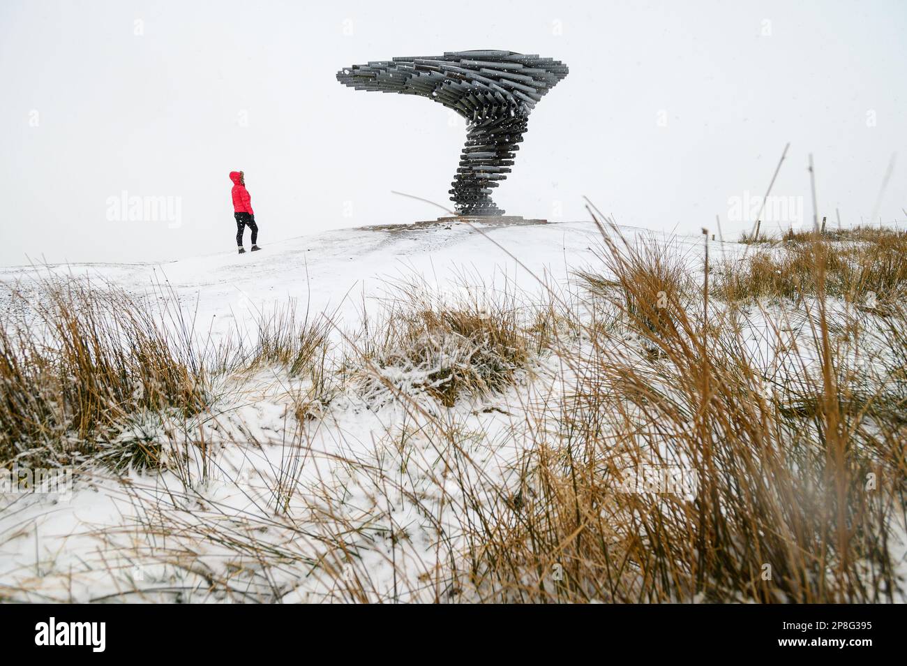 Burnley, Lancashire, UK, Thursday March 09, 2023. A woman braves the blizzard like conditions above the town of Burnley as she walks towards the Singing Ringing Tree Panopticon on Crown Point. The north of England is under a Met Office Amber Warning for snow and ice for the next 24 hours. Credit: Paul Heyes/Alamy News Live Stock Photo