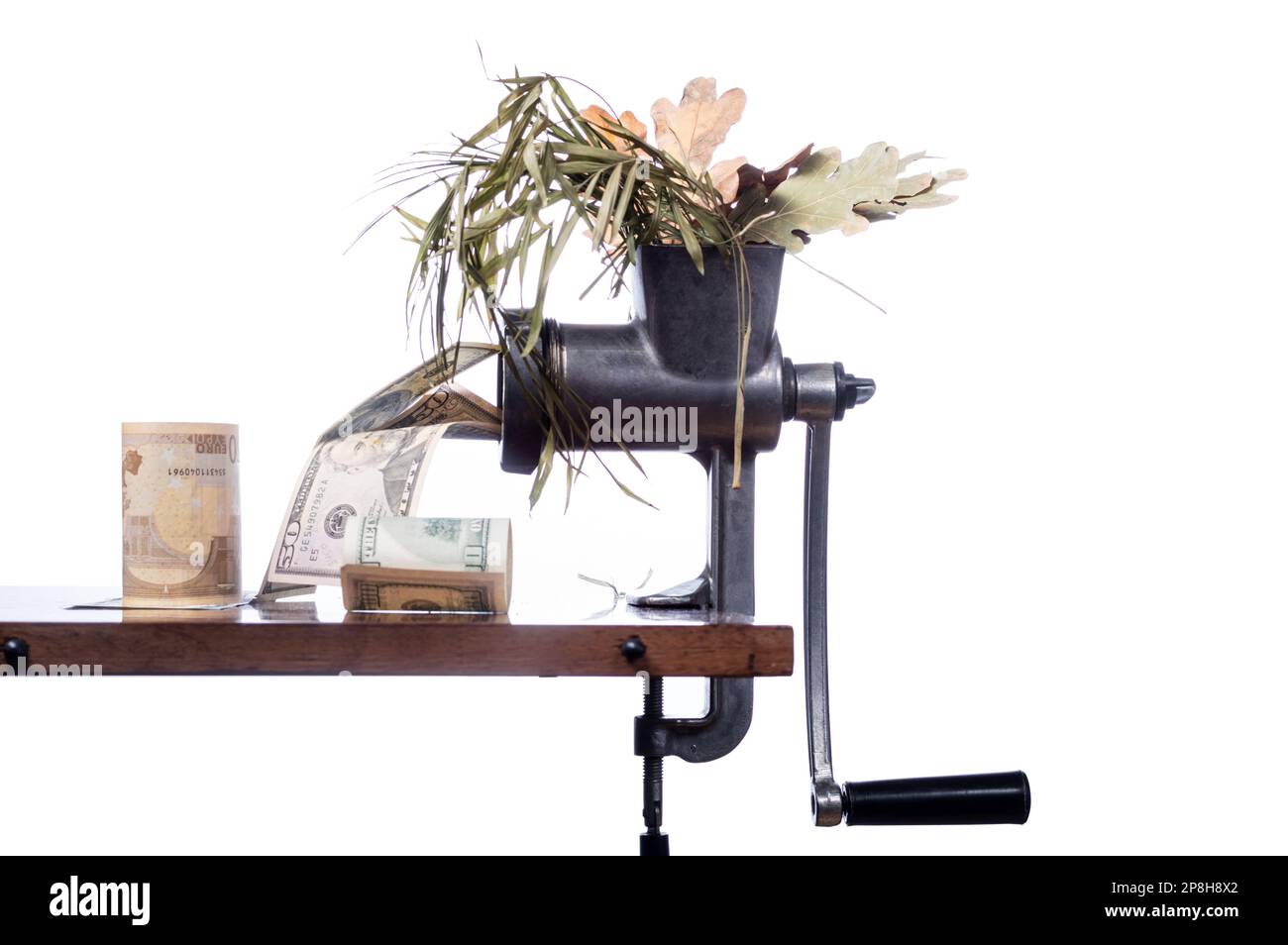 Recycling. Plant processing. Disposal of dry plants. Turning trash into