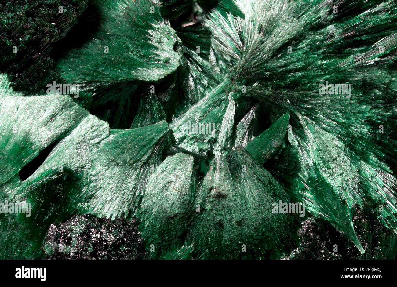 Fibrous Malachite (copper carbonate hydroxide) closeup. Image frame