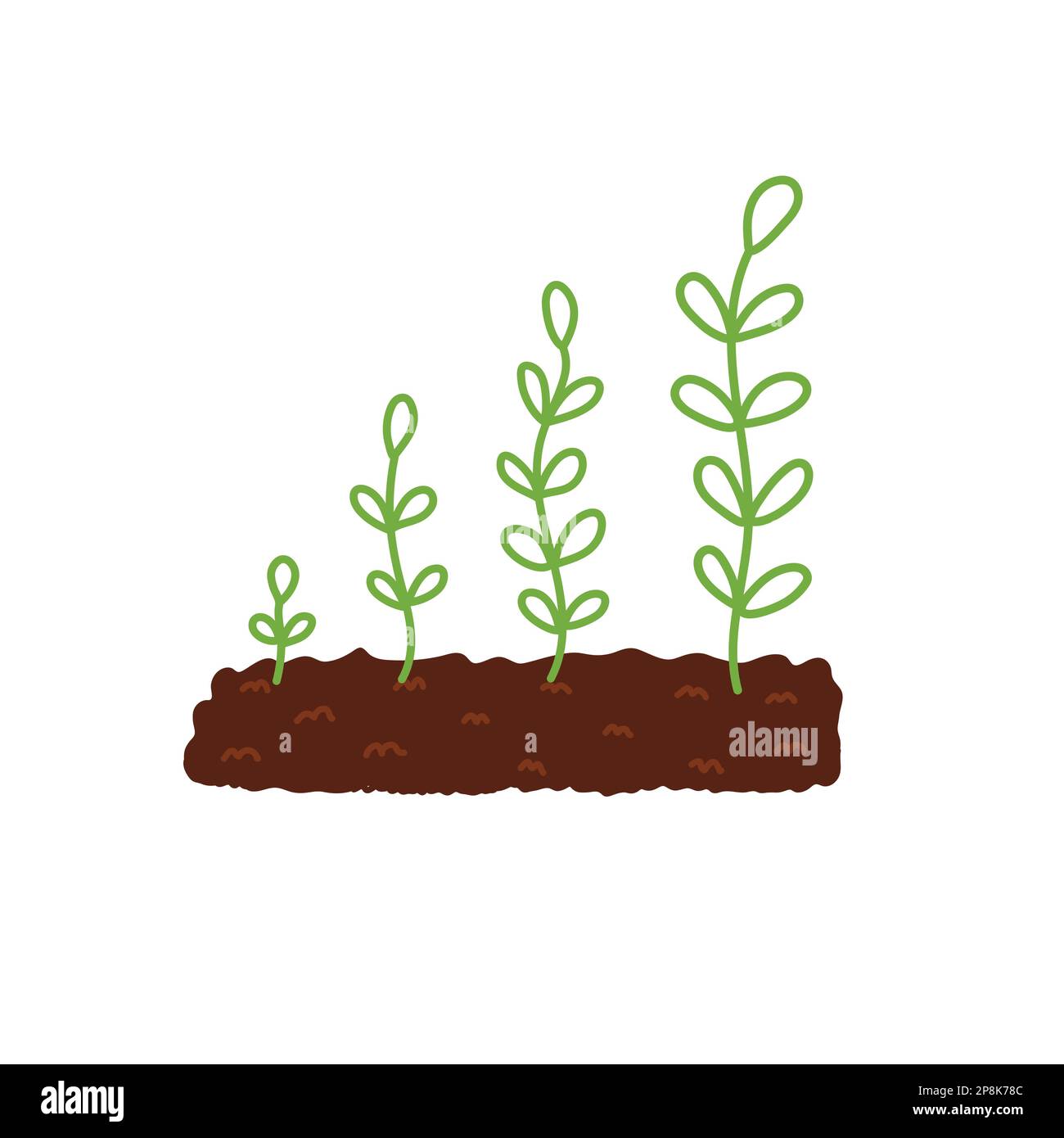 Growing plant in the soil phases concept. Gardening print showing