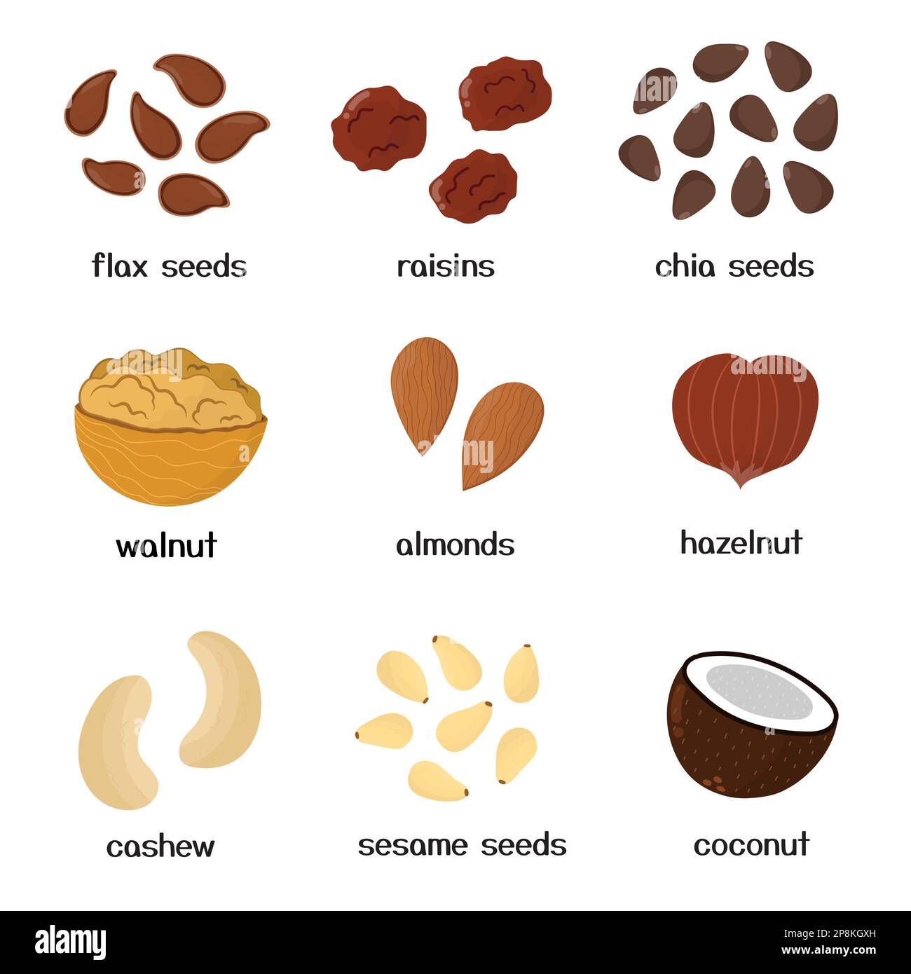 Nuts and seeds collection. Set of healthy food isolated elements in