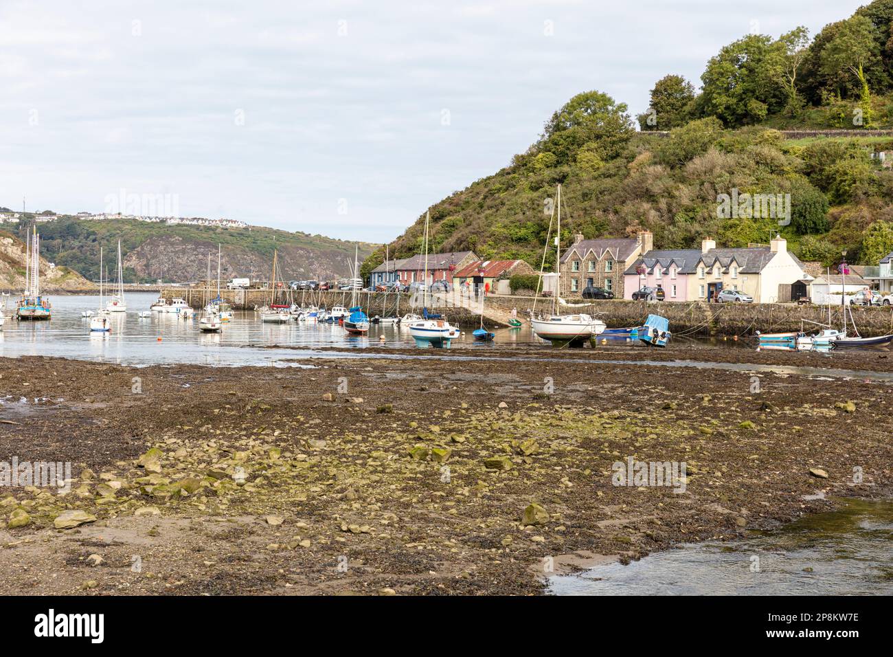 The lower town harbour of Fishguard, Pembrokeshire, Wales, UK, Fishguard, harbour, harbor, boats, estuary, houses, inlet, River Gwaun, Stock Photo