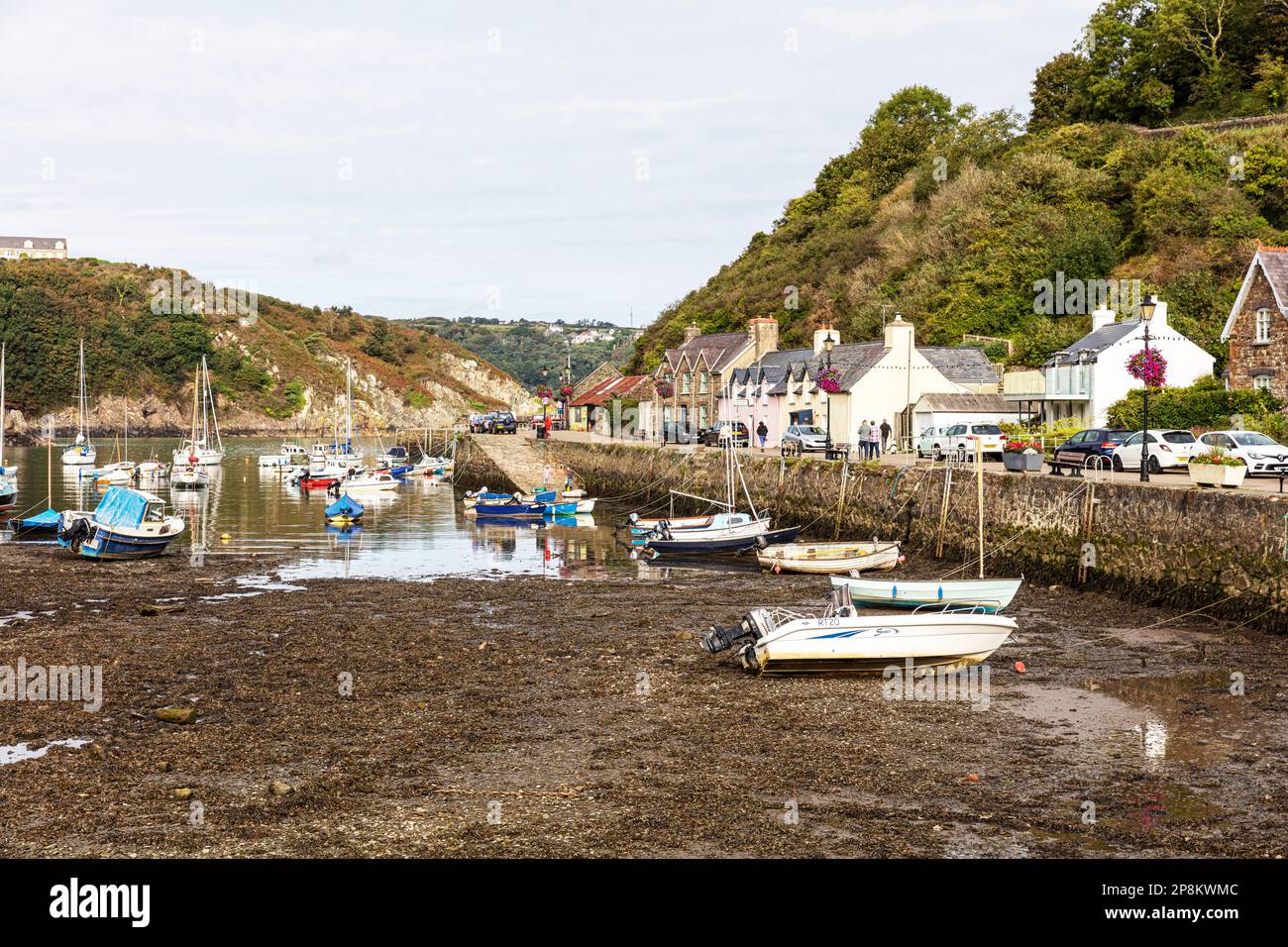 The lower town harbour of Fishguard, Pembrokeshire, Wales, UK