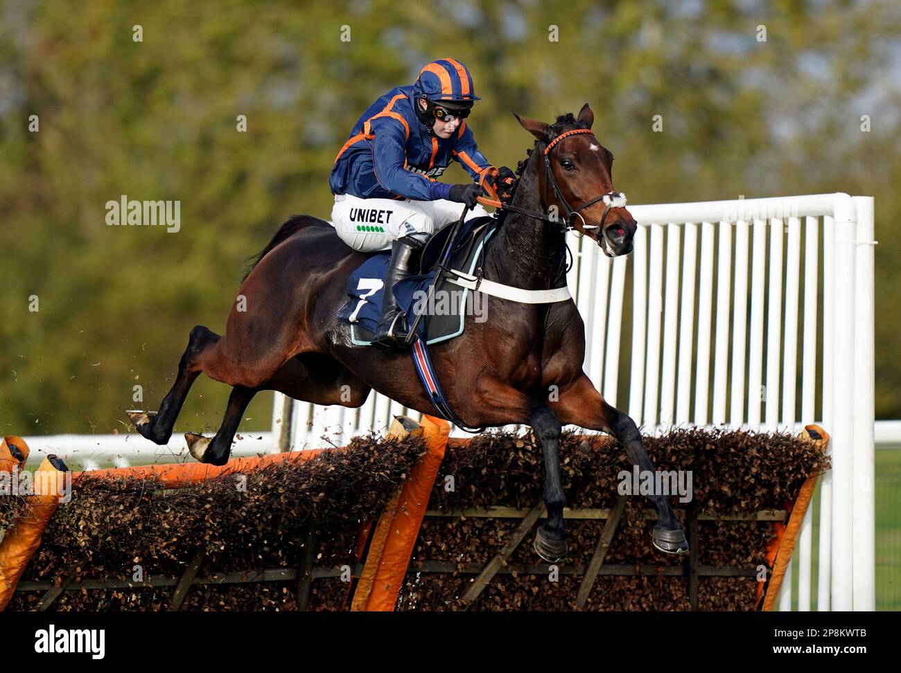 File photo dated 09-11-2021 of Theatre Glory. The list of owners who will employ the services of Nicky Henderson during the Cheltenham Festival is a roll call of the rich and powerful racing elite. Issue date: Thursday March 9, 2023. Stock Photo