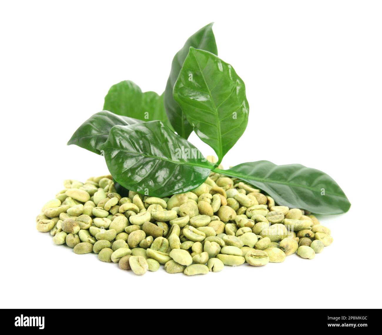 Green coffee beans and fresh leaves on white background Stock Photo - Alamy