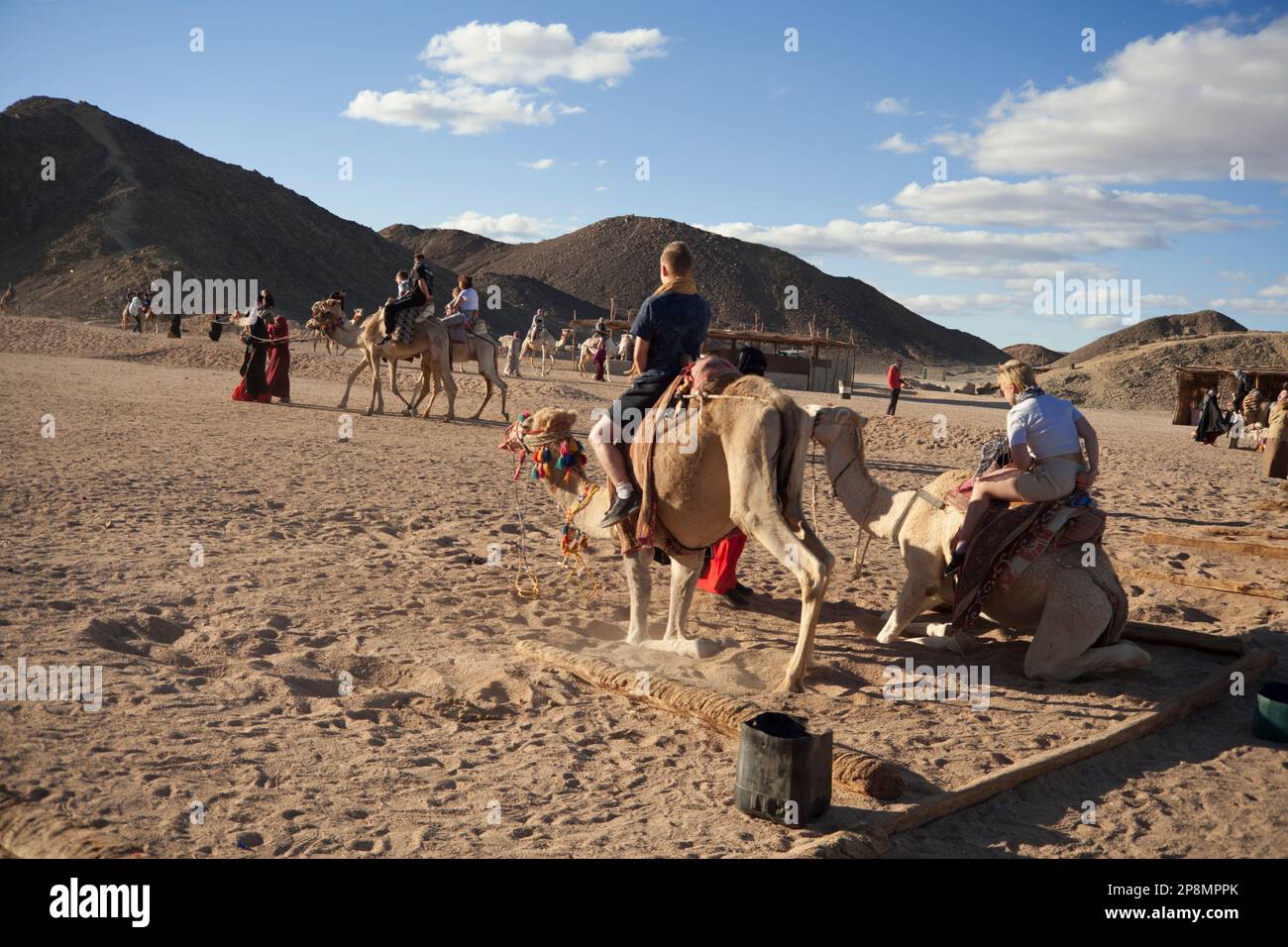 Tourist camel rides in Eastern Desert, Egypt Stock Photo