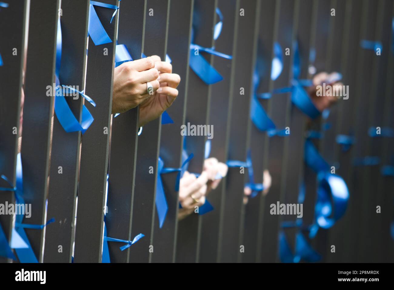 Blue ribbons are tied to a fence in recognition of National Child Abuse