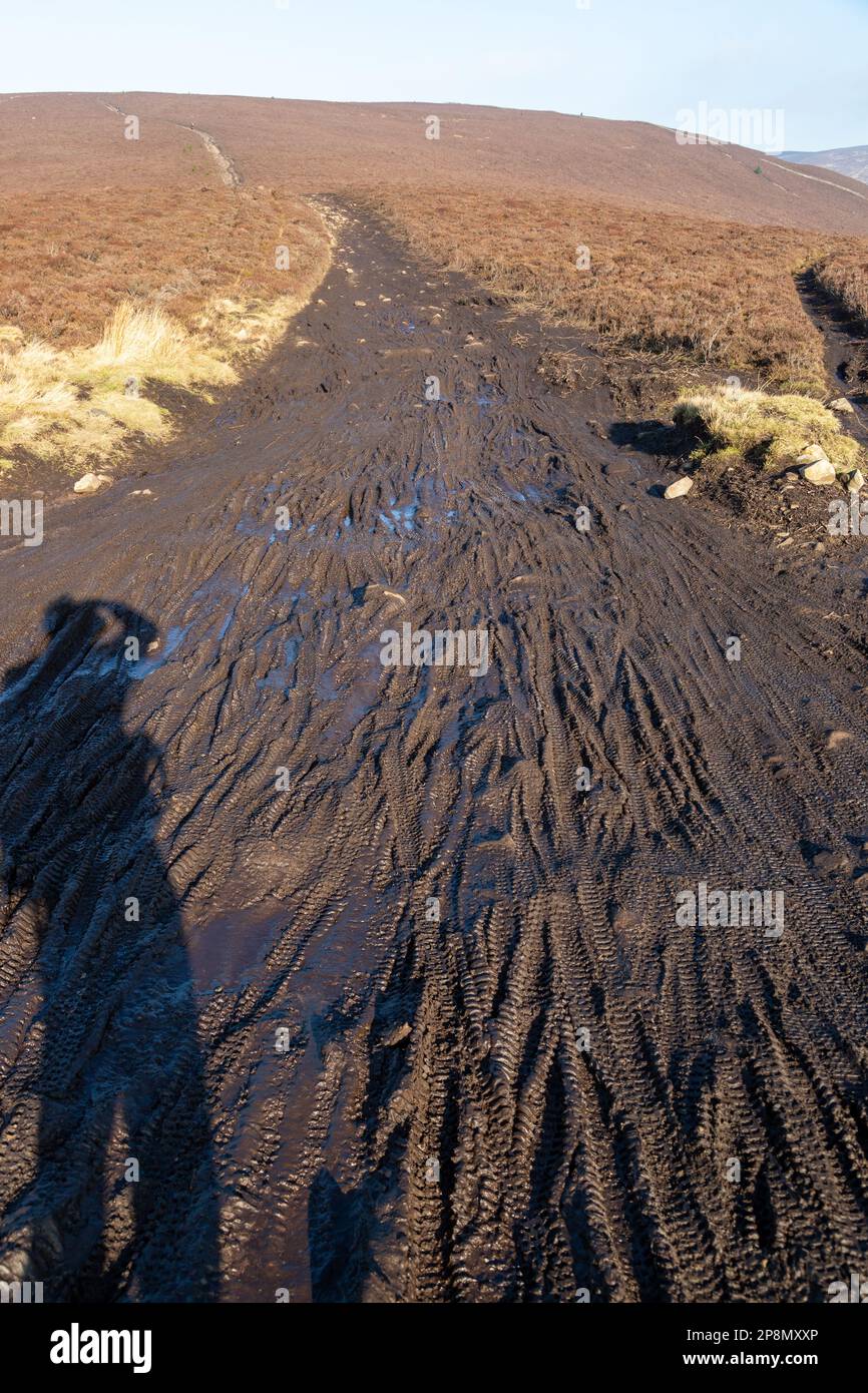 Bicycle tyre tracks in mud causing erosion in the Moorfoot Hills Scotland Stock Photo