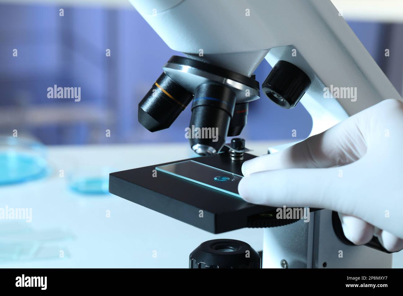 Scientist examining sample of light blue liquid on slide under
