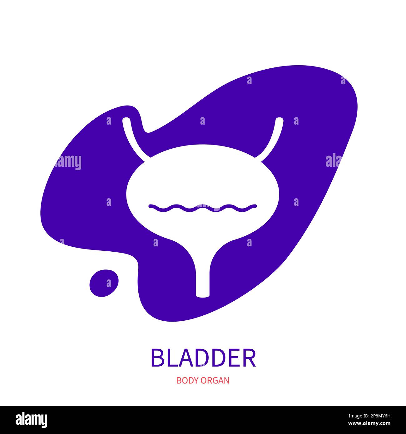 Human bladder body organ silhouette pictogram icon Stock Vector Image ...