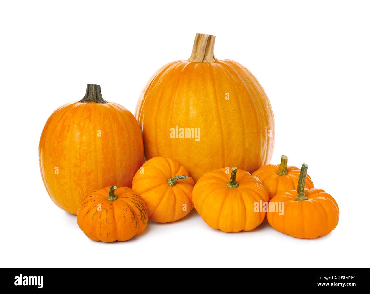 Pile of ripe orange pumpkins on white background Stock Photo - Alamy