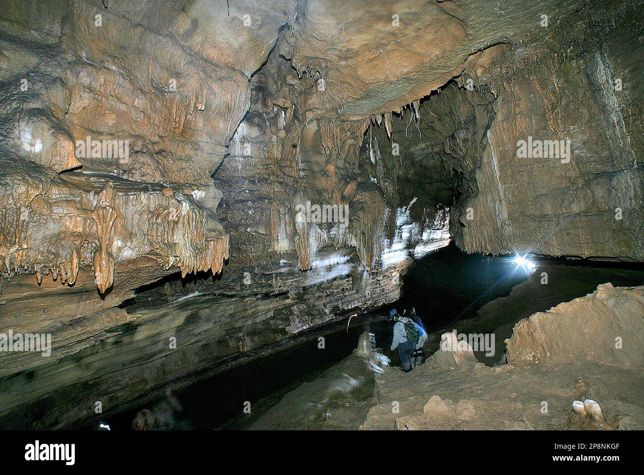 **ADVANCE FOR SUNDAY, MARCH 29** Visitors are seen March 7, 2009