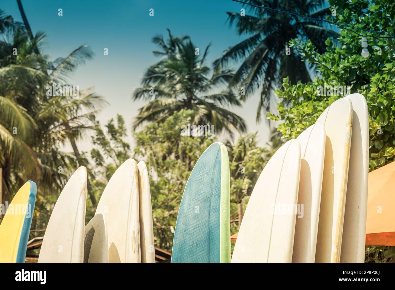 Different surf boards in stack for rent by ocean on sandy Hiriketiya Beach near Dickwella in Sri Lanka. Outdoors. Sunny days. Surf boards for beginner Stock Photo