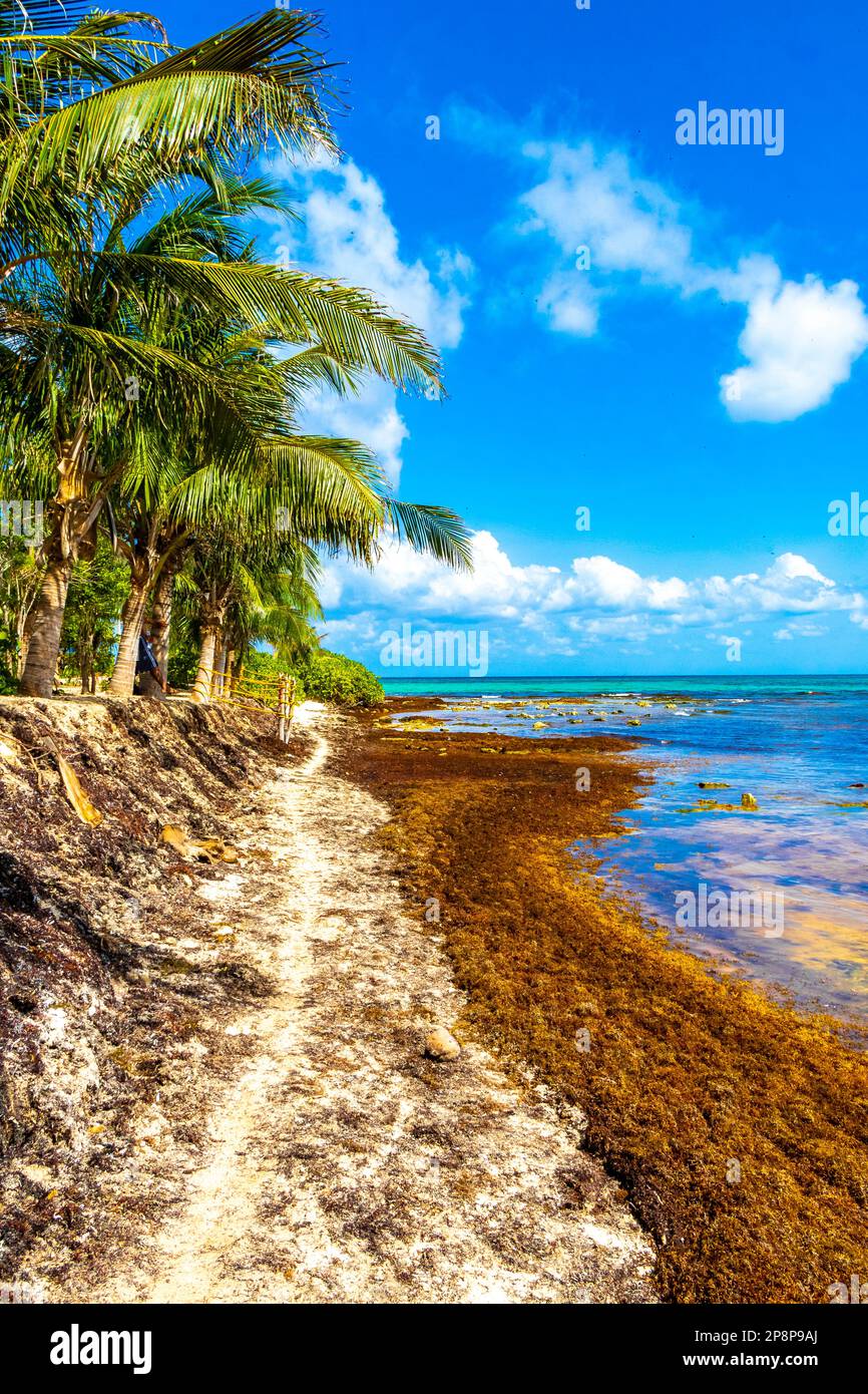 The beautiful Caribbean beach totally filthy and dirty the nasty ...