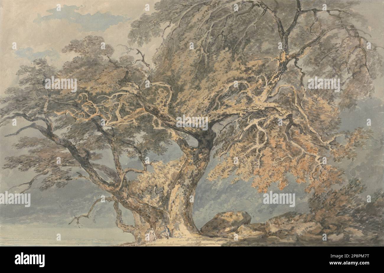A Great Tree circa 1796 by Joseph Mallord William Turner Stock Photo ...