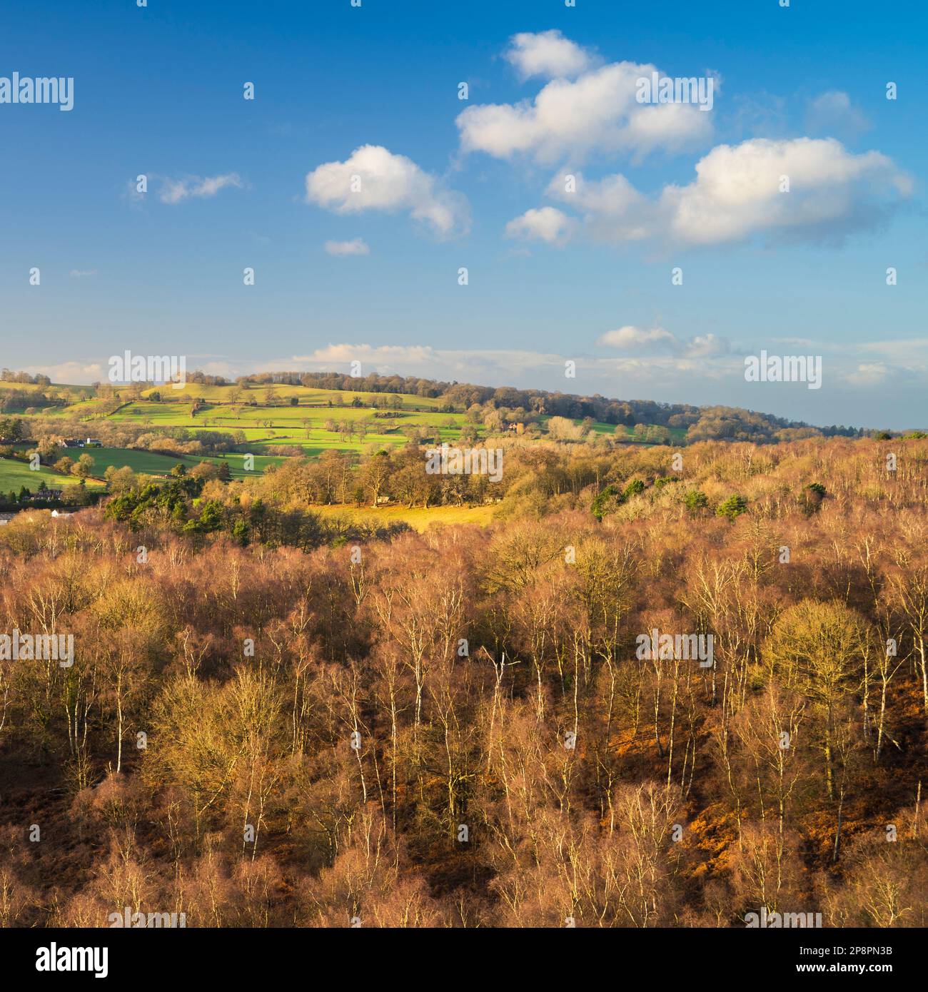 England, West Midlands, Kinver Edge. View from the top of Nannys Rock - a popular viewpoint along Kinver Edge. Stock Photo