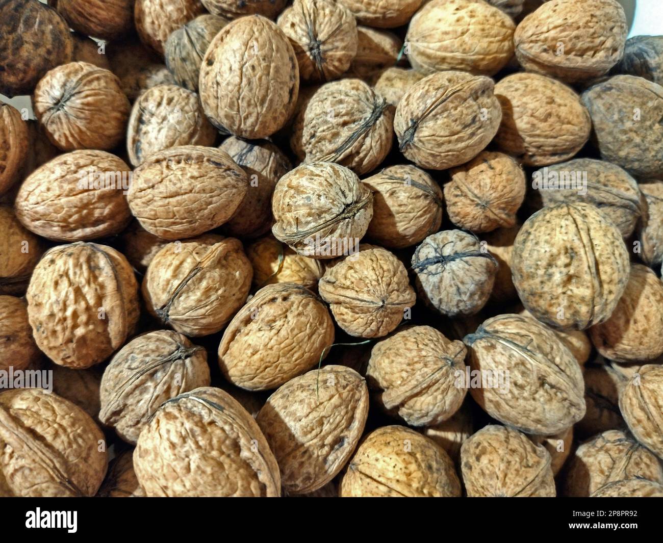 several walnuts isolated on white Stock Photo