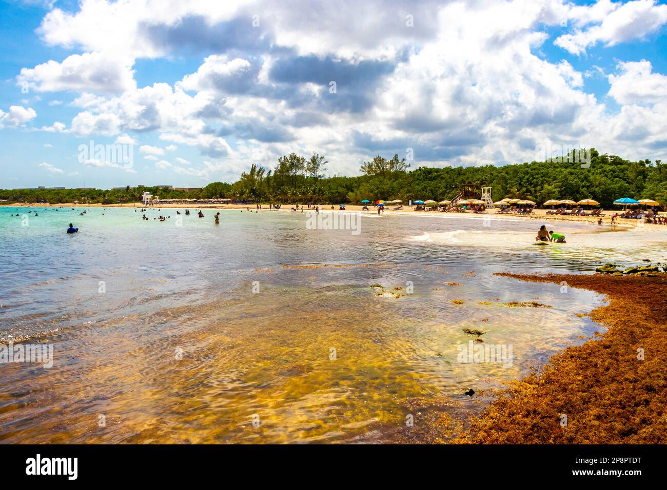 The beautiful Caribbean beach totally filthy and dirty the nasty ...