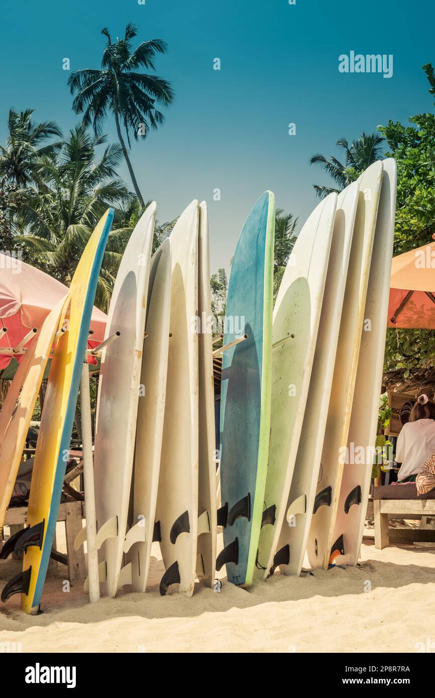 Different surf boards in stack for rent by ocean on sandy Hiriketiya Beach near Dickwella in Sri Lanka. Outdoors. Sunny days. Surf boards for beginner Stock Photo