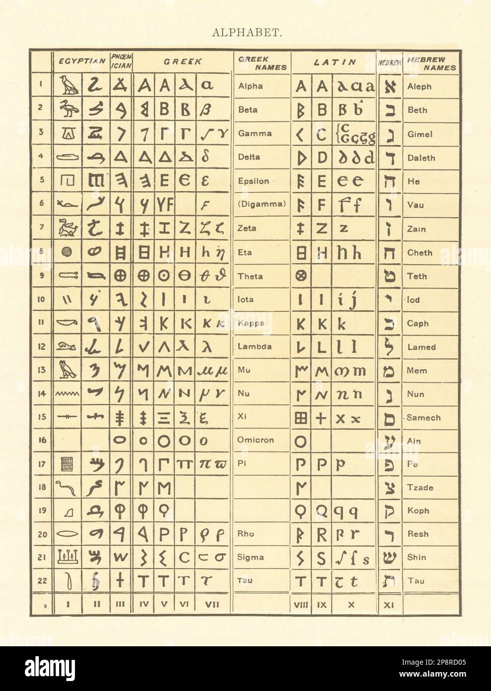 Alphabet. Egyptian Phoenician Greek Names Latin Hebrew 1907 old antique print Stock Photo