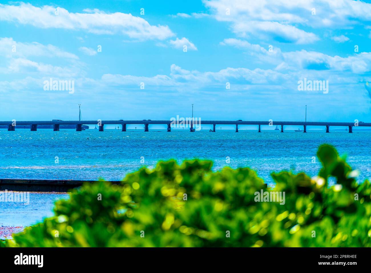 A scenic bridge spanning over a tranquil body of water surrounded by lush greenery and foliage Stock Photo