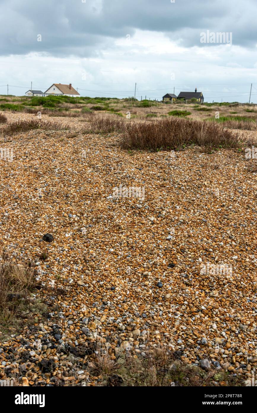 The surrounding area is the only desert in the UK and one of the largest areas of shingle in the