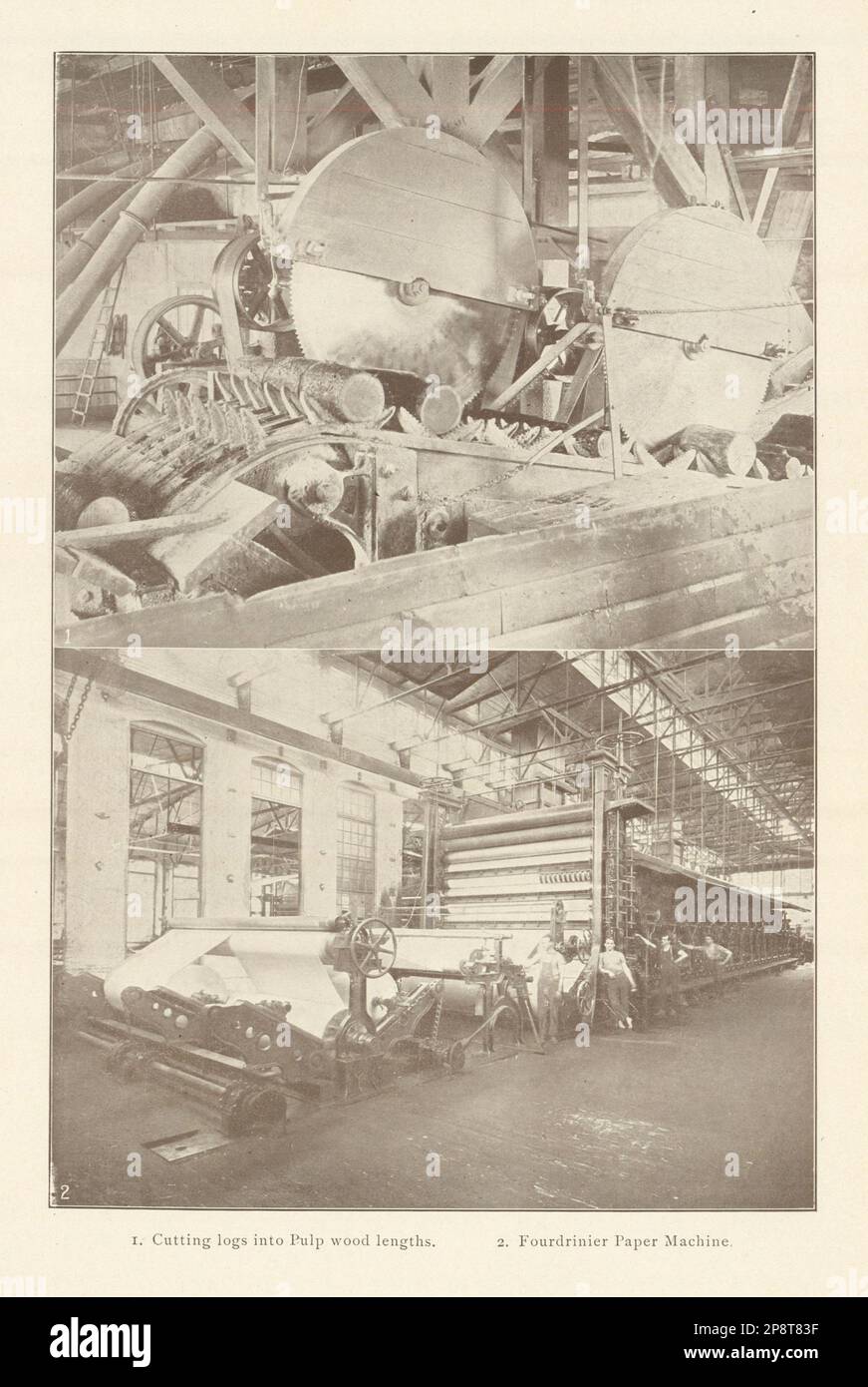 Cutting logs into Pulp wood lengths. Fourdrinier Paper Machine 1907 old