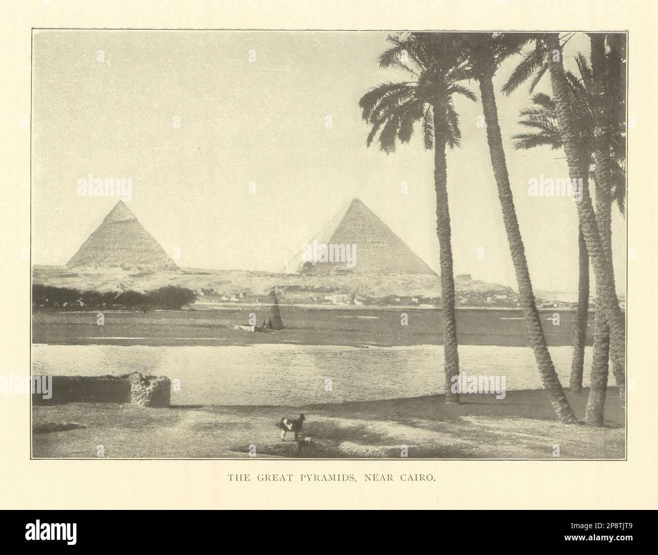 The pyramids egypt vintage hi-res stock photography and