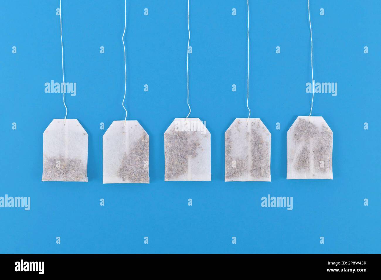 White tea bags in a row on blue background Stock Photo Alamy