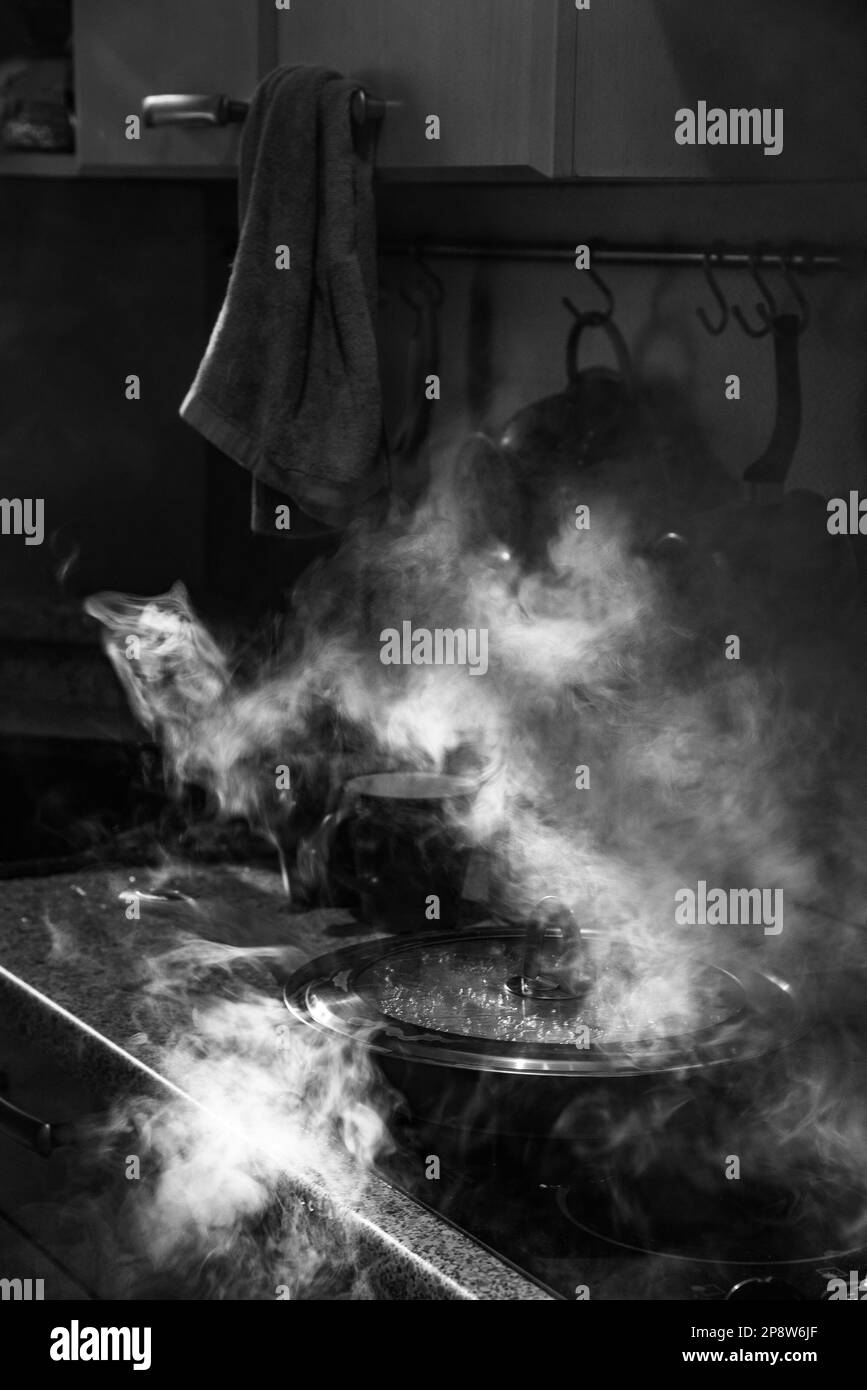 Food preparation in pan with glass cover. Steam and smoke. Black white ...