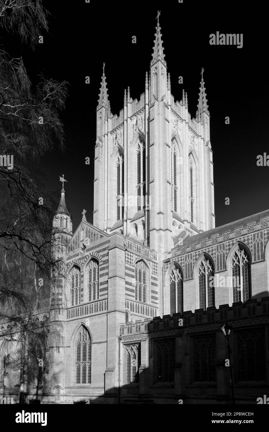 The ruins of St Edmundsbury Cathedral, Bury St Edmunds City, Suffolk