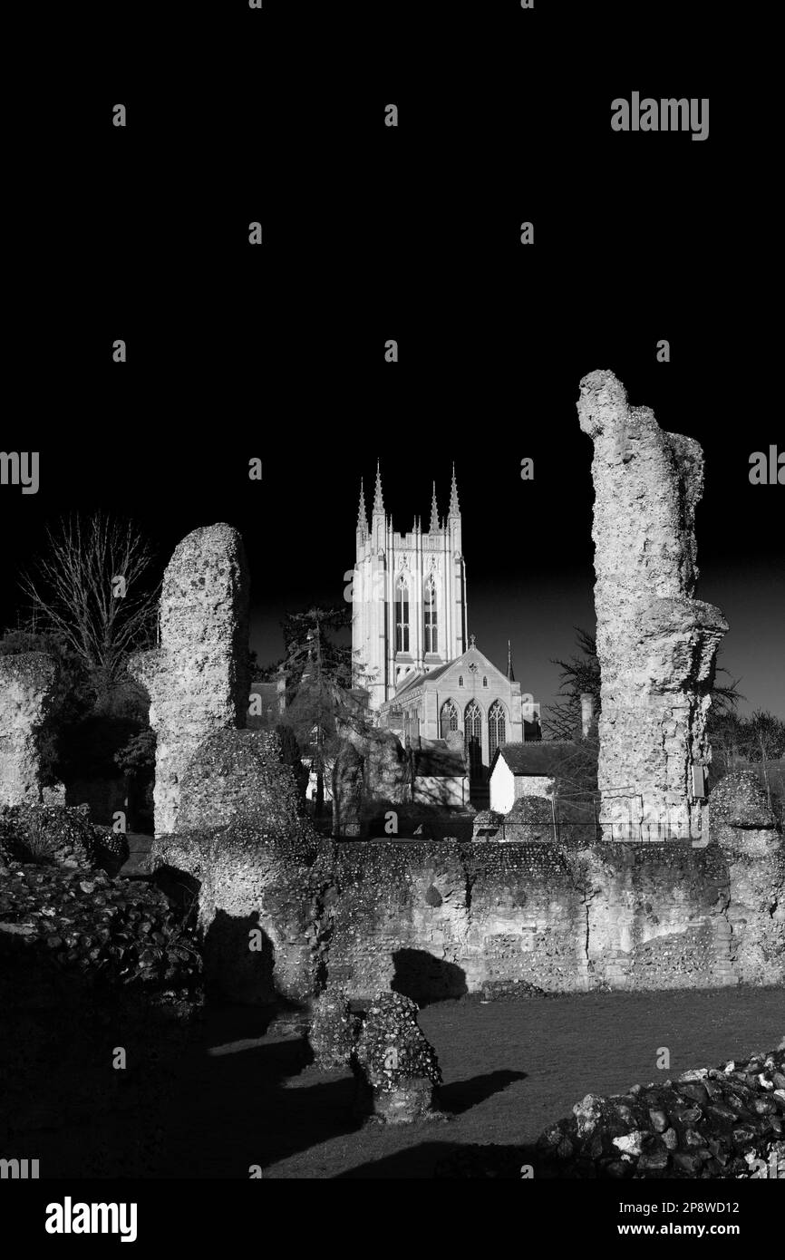 The ruins of Bury St Edmunds Abbey, Abbey gardens, Bury St Edmunds City, Suffolk, England Stock Photo