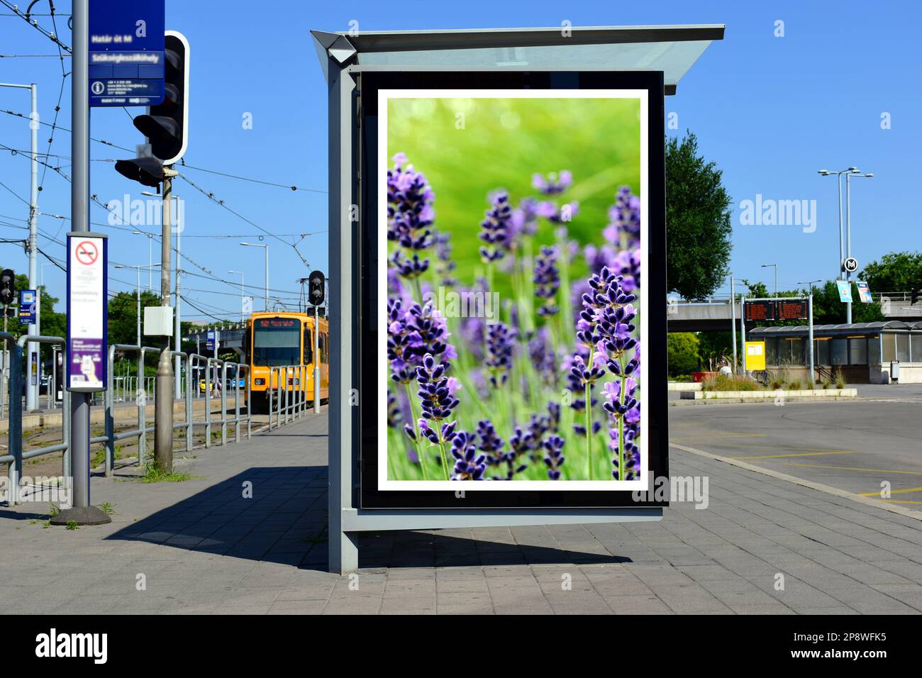 bus shelter with lightbox ad sign. mockup template. glass billboard