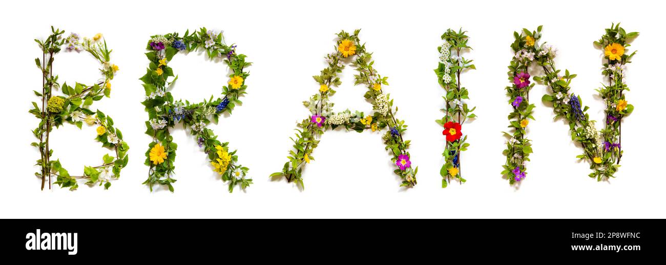 Colorful Blooming Flower Letters Building Word Brain Stock Photo Alamy