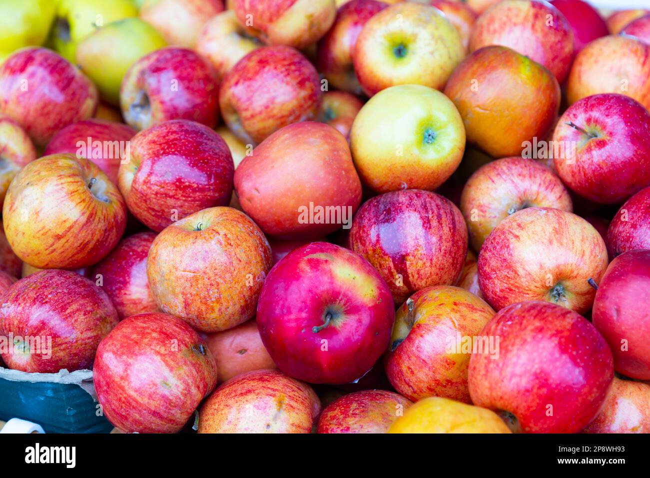 Red-yellow apples on the counter Stock Photo - Alamy