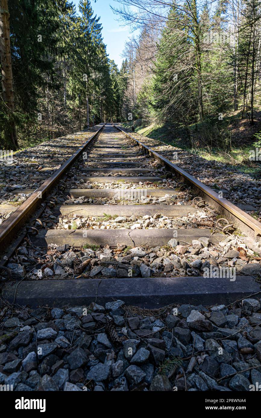Old and lonely railroad through the green forest Stock Photo