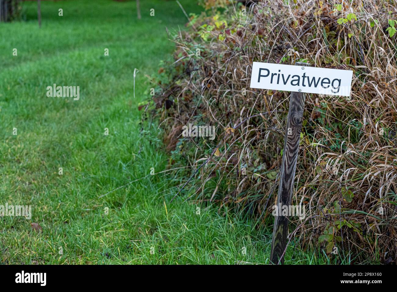 Closed woodland path with a sign on the meadow Stock Photo